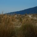 Thassos Golden Beach, Greece