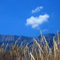 Thassos Golden Beach, Greece